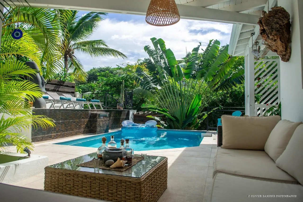 Bed & Breakfast Villa Fleur De Pirate Quarter of Orleans