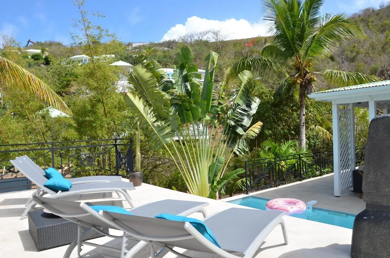 Bed & Breakfast Villa Fleur De Pirate Quarter of Orleans