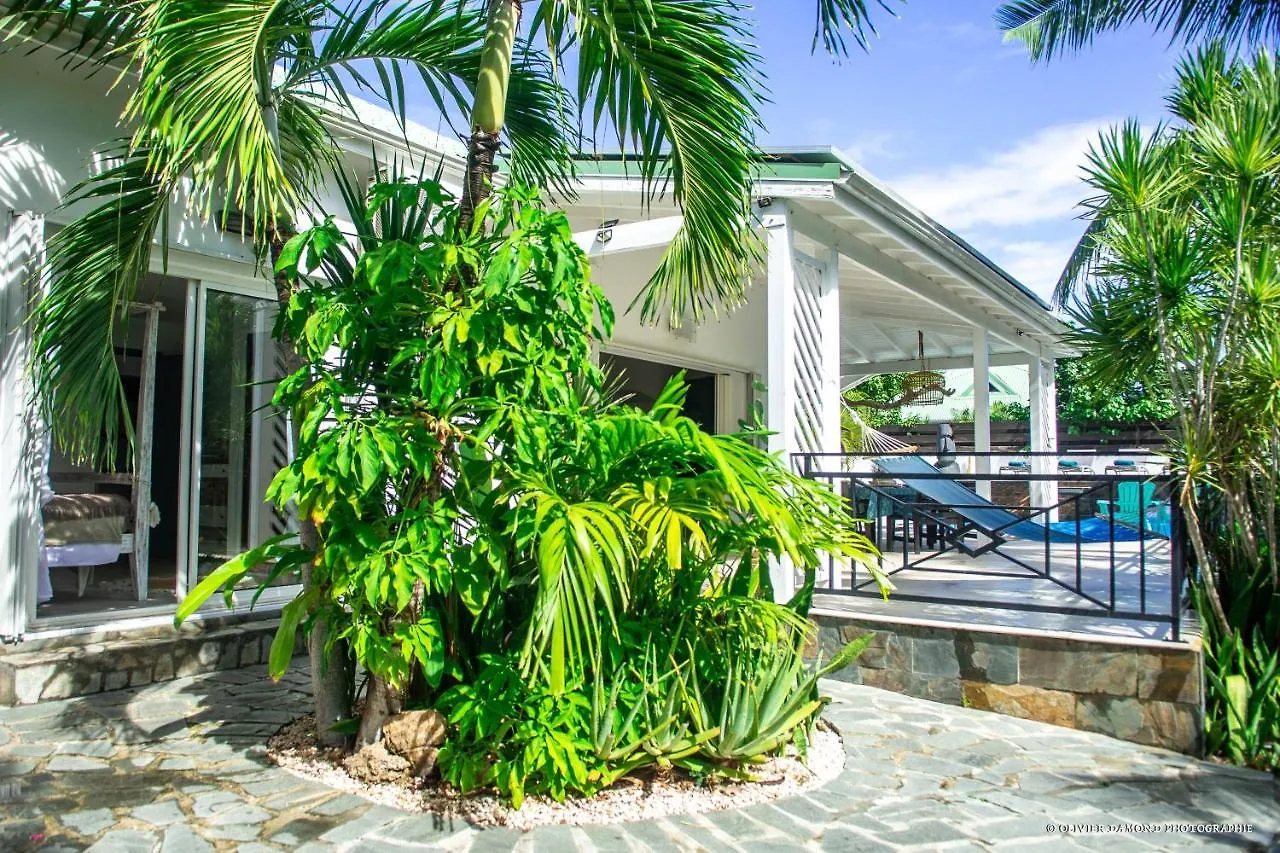 Bed & Breakfast Villa Fleur De Pirate Quarter of Orleans